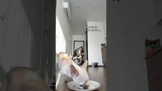 ХААХХАХАХА