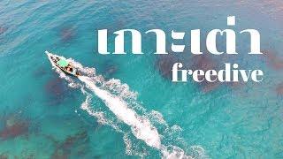 ฟรีไดฟ์ เกาะเต่า Freedive Koh Tao ที่ๆต้องไปสักครั้งในชีวิตให้ได้!!