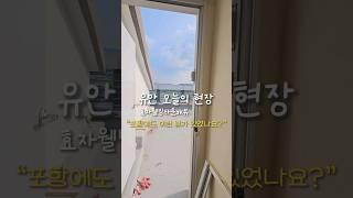 포항에 이런 뷰를 가진 아파트가 있다고요??? #인테리어 #리모델링 #shorts