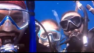 Diving with Nomanism 30-03-2019 Dive 2