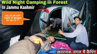 भालू हमारे Tent को Smell कर रहा था Night Camping in Shankpal Forest Jammu Kashmir | Camping in India