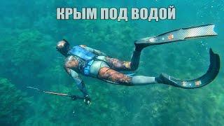 Подводная охота 2025 КРЫМ. Горбыль, Кефаль, Крабы, черное море.