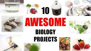 10 Awesome Biology Science Projects