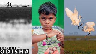 15 Minutes of Pure POV Street + Bird Photography vlog from ODISHA || Learn Photography with ME