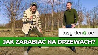 Jak zarabiać na drzewach? Lasy Tlenowe 