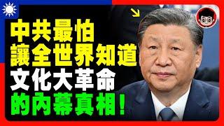 【中共機密】中共人只打中國人？毛泽东 爲何發動 文化大革命 ？習近平 一国两制 个人成长 统一 兩岸 习近平 自我提升 反送中 中共 九二共识 財富自由 反共 法輪功 國安法 中華民國 六四 毛澤東