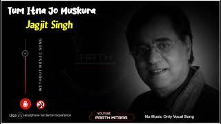 Tum Itna Jo Muskura Rahe Ho ( Without Music Only Vocal ) | Jagjit Singh | Sad Ghazal