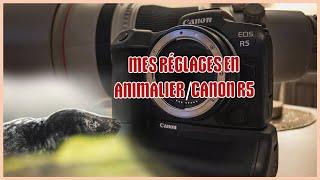 HOW I ADJUST MY CANON R5. FOR ANIMAL PHOTOGRAPHY! #animalphotography #canon #canonrf