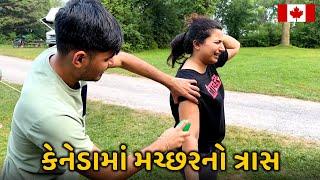 વેકેશનમાં ક્યા ગ્યા? ત્રણ દિવસનો પ્રોગ્રામ | કેનેડામાં મચ્છરનો ત્રાસ - Riddhi Darshan Vlogs