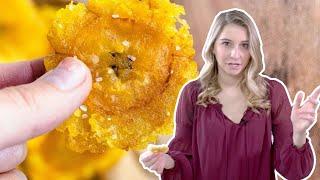 Tostones (Twice-Fried Plantains)