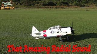 CARF AT-6 Texan w/ Moki 250 Radial