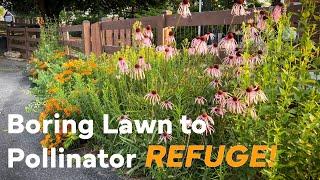 Dry Sun? Plant A MICRO PRAIRIE!