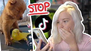 STOP DOING THIS! Terrible Viral Pet TikToks