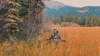 MOOSE HUNTING in NORTHERN BC | Episode 3 | THE SABOZ JOURNAL