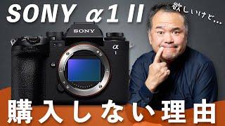 僕がSONY α1 IIを買わない理由を仕事と趣味の視点から語ります