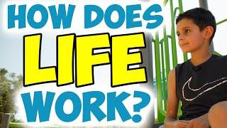 How Does Life Work? - (Tips for Kids)