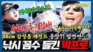 감성돔 88cm 최대어 논란 이태곤 “형님, 이게 말이 돼요?ㅋㅋ” 박진철 프로 꼼수에 낚시판 초토화 | 도시어부2 15회