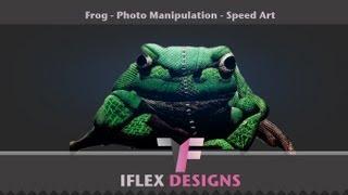 Frog Bean Bag - Photo Manipulation | Speed Art