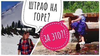 в ГОРЫ с ребёнком | встретили МЕДВЕДЯ на горе Рэйнир | PARADISE, Tipsoo | Лучший штат Вашингтон США