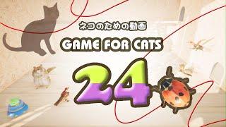 GAME FOR CATS 24　Ladybug,Rat,UFO,Rope,Bird