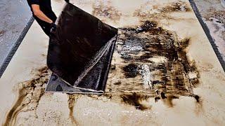 Feel the brain tingling as we scrape this carpet | ASMR carpet cleaning | Speeded Up