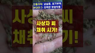 사상자: 강력한 항암작용(암 증식, 전이, 신생혈관 생성 전부 억제)