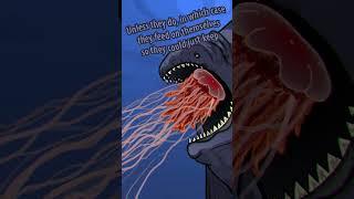 Lion's Mane Jellyfish | 8 Feed Wide #shorts #animation