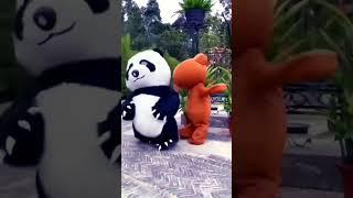 Cute funny panda  #shorts #viral #ytshorts