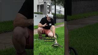 How to use a line trimmer. The video that’s helped over 250,000 people with their lawn edges(so far)