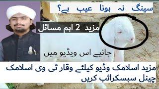 Qurbani ke 3 aham masiyal |Waqar Islamic TV