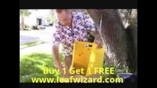 Fall Leaf Cleanup Made Easy with a Leaf Wizard™