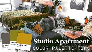 Studio Apartment Color Scheme: How to Create a Cohesive Color Palette