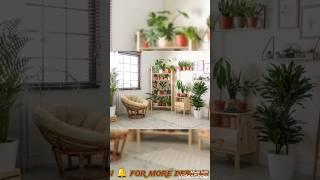 Delightful Plant Shelves Ideas For Decorating Indoor