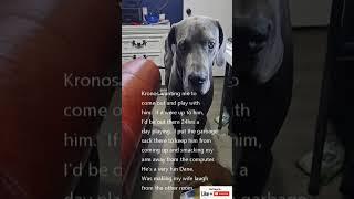 Kronos (our Great Dane) saying come play with me.