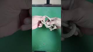 useful loop knot #shorts