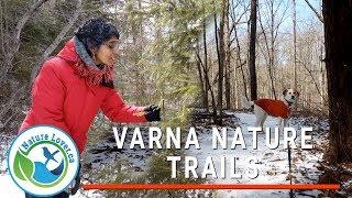 Hiking the Varna Nature Trails Near Bayfield, Ontario - Day Trips Into Nature Series