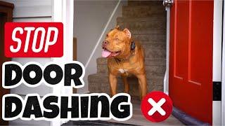 How To Stop Your Dog From Running Out The Door [Door Dashing]