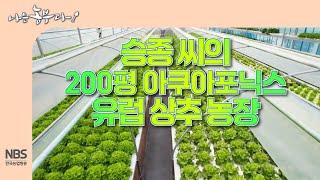 [나는농부다 297회] 승종 씨의 200평 아쿠아포닉스 유럽 상추 농장