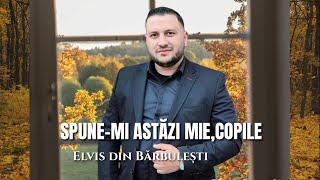 SPUNE-MI ASTĂZI MIE, COPILE -Elvis din Bărbulești