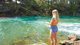 This PRISTINE Mountain Creek Was PACKED FULL of Fish! -- Summer Wade Fishing! (incredible)