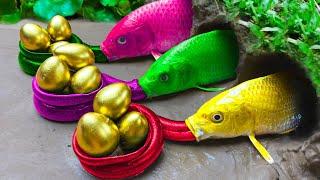 Stop Motion ASMR Pool Fishing - Traps Colorful Fish, Crocodile Hunts Catfish Mukbang Sea Crab