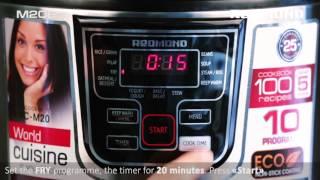 Home style chicken curry cooked in REDMOND Smart Multicooker RMC-M20E