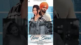 Tere Bina | Out Now | Taranveer Singh | Jcd Universal Productions #punjabisong #punjabi