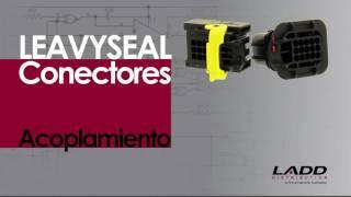 Conectores LEAVYSEAL (LEAVYSEAL Connector Instructions) - Spanish