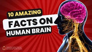 10 Amazing Facts About the Human Brain You Never Knew | #BrainFacts #Psychology #HumanBrain