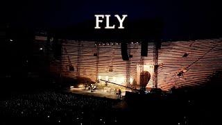 Ludovico Einaudi - Fly LIVE (Arena di Verona, 10/07/2024)