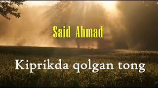 Said  Ahmad. Kiprikda  qolgan  tong. 1-qism (Qissa)