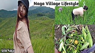 Village Life||Naga village lifestyle||Nagaland||Northeast||Arin Naga