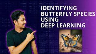 Deep learning project | Butterfly image Classification Classification Using CNN