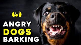 Angry Dogs Barking Sound Effect